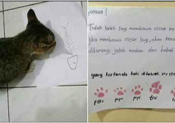 Gara-gara Sering Bawa Cicak Masuk ke Kamar, 6 Ekor Kucing Peliharaan Dihukum Majikannya dengan Dibuatkan Surat Perjanjian