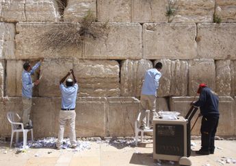 Jadi Pertanda Kiamat, Ular Keluar dari Tembok Barat Israel. Bagaimana Bisa?