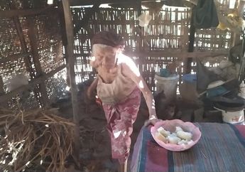 Kisah Haru Rabina, Nenek 92 Tahun yang Hidup Sebatang Kara Berteman 8 Ekor Kucing Namun Tetap Bahagia