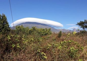 Kemarau Panjang Tahun Ini, Puncak Gunung di Indonesia Munculkan Lagi Fenomena Unik Ini. Foto-fotonya Jadi Viral di Media Sosial