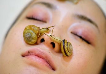 Lendir Siput Hingga Facial Racun Lebah, ini 6 Perawatan Kecantikan Artis Hollywood yang Unik dan Tak Biasa