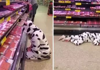 Aksi Wanita Vegan Lakukan Protes Eksploitasi Daging, Tiduran di Supermarket dengan Menggunakan Kostum Sapi