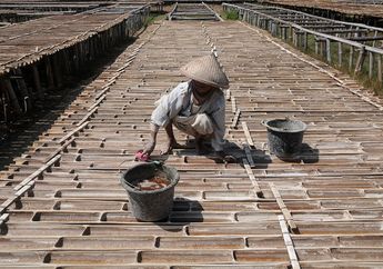 Foto-foto Petani Grobogan yang Hasilkan Garam dengan Cara Unik dan Langka. Bahan Bakunya dari Air Sumur Lho!