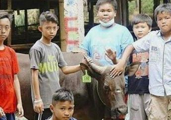 Menabung Uang Jajan Selama 10 Bulan, Tujuh Bocah Kampung Cibogor Patungan Beli Sapi Kurban Seharga Rp 19.5 Juta