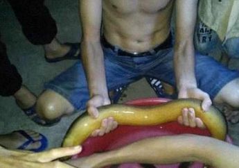 Bentuknya Mirip Ular Raksasa, Pria ini Temukan Hewan Langka Berusia 30 Tahun yang Laku Terjual Hingga Rp45 Juta!