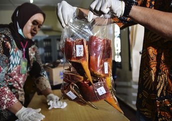Dari Aceh Foto-foto Buktikan Tindakan Keji Terhadap Burung Langka Ini Sudah Sejak Lama!