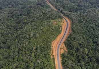 Ibu Kota Pindah, Benarkah Pusat Pemerintahan Bakal Pakai Konsep Kota dalam Belantara demi Lestarikan Hutan Kalimantan?
