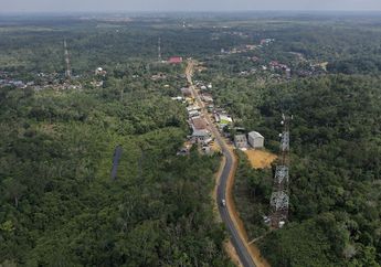 Foto-foto Udara Tunjukkan Lanskap Bukit Nyuling, Kandidat Ibu Kota Baru Kita