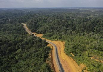 Jokowi Minta Izin Pindahkan Ibu Kota, Apakah Lokasi Ini yang Terpilih Jadi Pusat Pemerintahan?