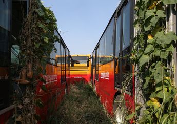 Rupanya Ini Jawaban Atas Misteri Foto-foto Bus Bertuliskan Transjakarta yang Teronggok Rongsok!