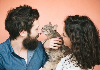 Viral Video Seorang Pria Makan Kucing Hidup-hidup, Netizen Geram!