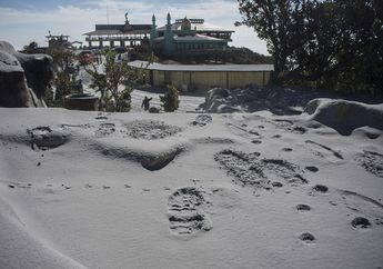 Mirip Padang Pasir, Begini Foto-foto Abu Tebal di Tangkuban Parahu