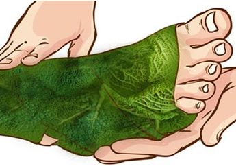 Ajaib, Membungkus Kaki dengan Kubis Ternyata Bisa Sembuhkan Penyakit Sendi, Gimana Caranya?