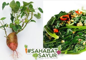 Bukan Cuma dari Dagingnya, Daun Ubi Jalar Rupanya Punya Manfaat Bagi Kesehatan Tubuh untuk #SahabatSayur