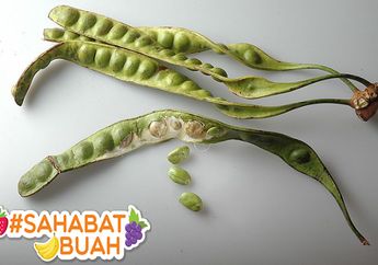 Dikenal Punya Bau Tak Sedap, Nyatanya Khasiat Petai Ampuh Untuk Obat Awet Muda, #SahabatBuah Harus Tahu!