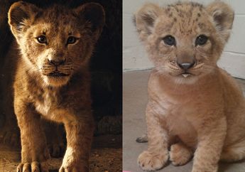 Kenalan dengan Bahati, Anak Singa yang Jadi Model Simba 'The Lion King'. Mirip Banget!