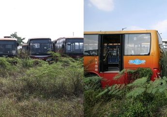 Mengintip 'Kuburan' Bus Transjakarta di CIputat dan Bogor, Imbas Pengadaan yang Bermasalah