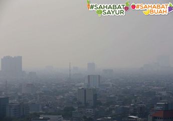 Polusi Udara Jakarta Semakin Memburuk, #SahabatSayur & #SahabatBuah Bisa Konsumsi 8 Makanan Ini Untuk Paru-Paru Bersih!