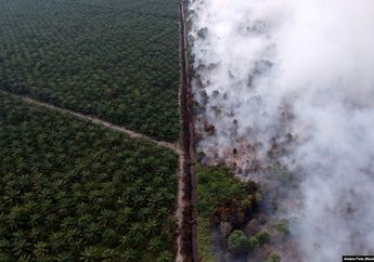 Dampak Kabut Asap dan Karhutla Makin Parah, Warga Dua Desa Ini Harus Nyalakan Lampu di Siang Hari Karena Langit Memerah Seperti Maghrib
