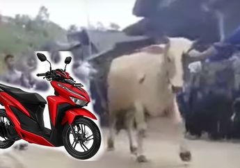 Heboh Tukang Bubur Asal Pekalongan Nggak Hanya Bawa Skutik Vario Buat Seserahan, Daftar Lengkapnya Bikin Melongo