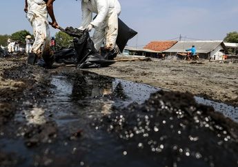 Limbahan Minyak di Pantai Karawang tak Kunjung Menghilang. Warga Gotong-Royong Membersihkan, Foto-foto Ini Buktinya