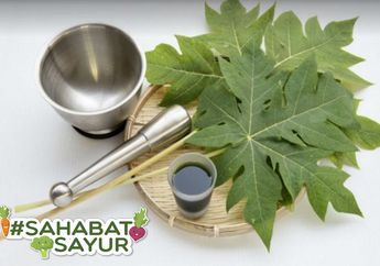 Walaupun Rasanya Pahit, #SahabatSayur Harus Tahu 6 Manfaat Manis Dari Daun Pepaya