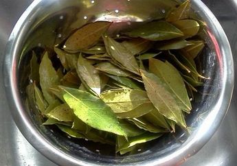 Hilangkan Ketombe dari Kulit Kepala, Gunakan Saja Daun Salam