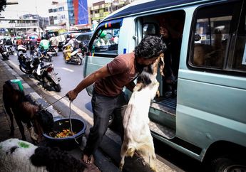 Foto-Foto Ini Buktikan Kawasan Tanah Abang Semrawut Karena Hewan Kurban Dijajakan di Trotoar, Begini Alasan Pemkot