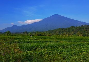 Gunung Ciremai Terbakar, Berikut Foto dan Video Resmi dari TNGC Ceritakan Keadaanya