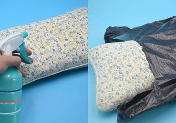 Nggak Perlu di Cuci, Coba Masukkan Bantal ke Kantong Plastik Hitam dan Lihat Hasilnya
