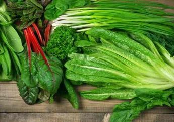 Kita Wajib Tahu, Kurangi Makan Daging, Perbanyak Konsumsi Sayur Justru Kurangi Emisi Pemanasan Global. Berikut Alasannya!