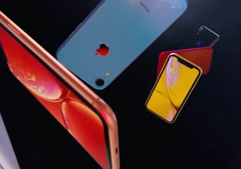 iPhone XR Jadi Ponsel Terlaris Pada Setiap Kuartal Tahun 2019