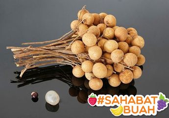Paling Disukai Banyak Orang, #SahabatBuah Harus Coba Manfaat dari Buah Lengkeng, Ampuh Cegah Kanker, lo!