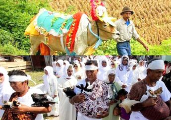 Cuma Ada Di Sini, 7 Tradisi Unik Perayaan Idul Adha dan Potong Kurban di Indonesia, Nomor 5 Lucu Banget!
