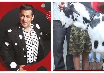 Ada Lafadz Allah di Tubuhnya, Kambing Ini Bahkan Disebut Seganteng Salman Khan