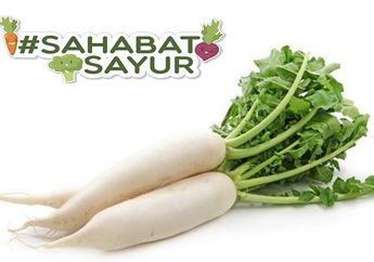 Tidak Suka Lobak? Tunggu Dulu, Lobak Mengandung Banyak Manfaat Bagi Tubuh Pasti Disuka #Sahabatsayur