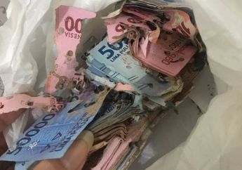 Pedih! Viral Uang 10 Juta Dimakan Rayap, Setelah Ditukar ke Bank Indonesia, Segini Jumlah Uang Ganti yang Diterima Pemiliknya