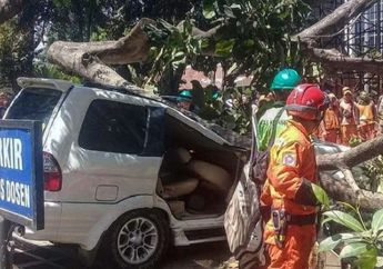 Isuzu Panther Tertimpa Pohon di Universitas Pancasila, Bodi Ringsek 1 Orang Meninggal di TKP