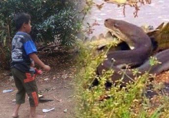 Miliki Kebiasaan Aneh Gigit Ular Sampai Mati, Tim Medis Ungkap Penyakit yang Diidap Rizki Sebenarnya
