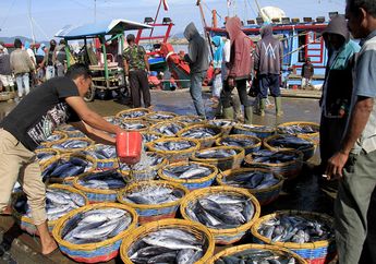Kebijakan Menteri Susi Pudjiastuti Berhasil, Tangkapan Ikan Nelayan Aceh Melimpah. Sayang, Ada yang Terlewatkan dari Kebijakan Itu...