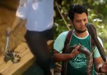 Viral Satpam Perumahan Tewas Digigit Ular Usai Sempat Memainkannya, Begini Kronologi Serta Himbauan Menohok dari Panji Petualang