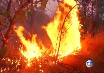 Bencana Terbesar Dekade Ini, Gara-gara Kebakaran Hutan Kota Ini Jadi Gelap Saat Siang Hari. Fotonya Jadi Trending Dunia!