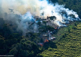Bikin Cuitan Prihatin Soal Kebakaran Hutan, Presiden Prancis Malah Kena Damprat Sang Pemilik Hutan. Foto-foto Tragedi Kebakaran Hutan Amazon Bikin Kita Menangis!