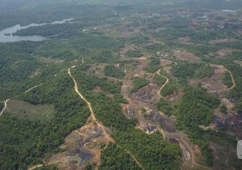 Bersikukuh Jaga Hutan Buatannya di Tengah Kota, Pasangan Kakek dan Nenek Ini Tak Tergiur Tawaran Uang Rp 10 Miliar. Lantas, Dari Mana Mereka Dapatkan Uang Dapur?