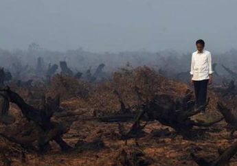 Kabut Asap Sudah Makin Gawat, Mulai Dari Larangan Keluar Rumah Balita dan Ibu Hamil Hingga Sudah Ekspor ke Negara Tetangga. Bagaimana Kabar Instruksi Jokowi yang Akan Copot Pejabatnya?