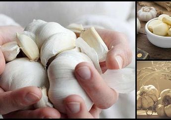 Selalu Makan Bawang Putih Mentah Selama Satu Minggu, Kanker Mematikan ini Tak akan Berani 'Menyentuh' Tubuh