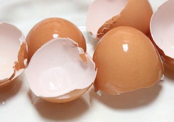 Stop Jangan Dibuang Dulu! Penelitian Menunjukkan Cangkang Telur Ternyata Punya Manfaat Magis Ini untuk Tubuh! Intip Faktanya