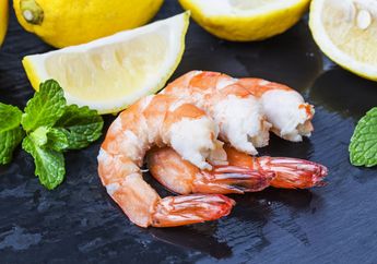 Bolehkah Memberikan MPASI Udang untuk Si Kecil? Ternyata Ini yang Perlu Moms Ketahui