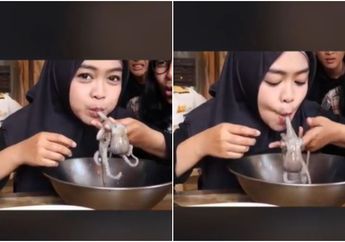 Ria Ricis Tega Makan Gurita Hidup, Kata Sains Soal Perasaan Gurita yang Dimakan dalam Kondisi Hidup