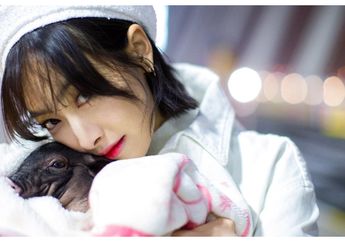 Ikuti Jejak Amber, Victoria f(x) Keluar dari SM Entertainment Setelah 10 Tahun Debut sebagai Girlband